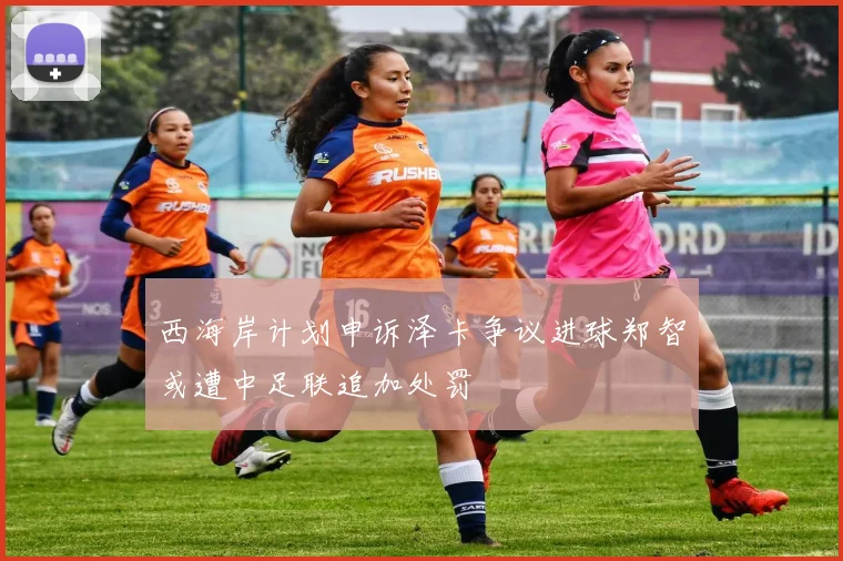 西海岸计划申诉泽卡争议进球郑智或遭中足联追加处罚