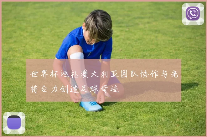 世界杯巡礼澳大利亚团队协作与老将合力创造足球奇迹